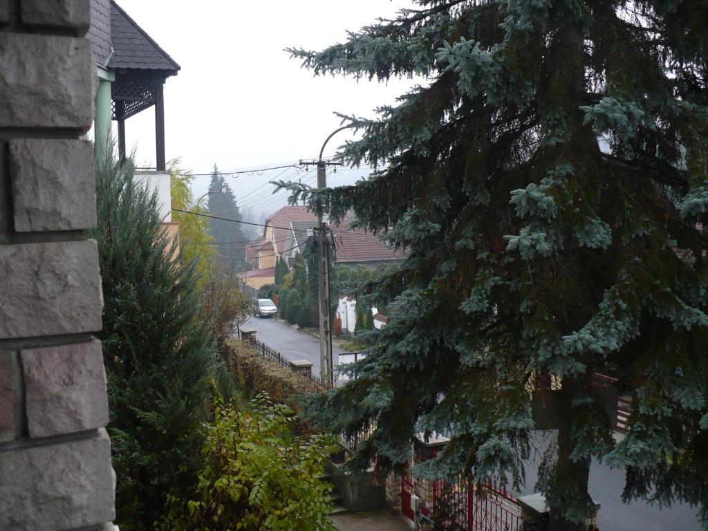 Kitty Apartman Miskolc Exterior foto